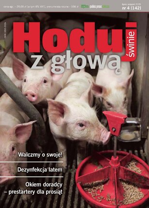 Hoduj z głową świnie 4/2026