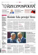 Rzeczpospolita 117/2026