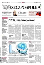 Rzeczpospolita 156/2026