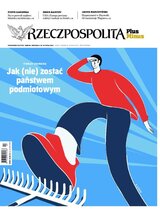 Rzeczpospolita 166/2026