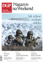 Dziennik Gazeta Prawna 10/2026