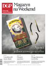 Dziennik Gazeta Prawna 117/2026