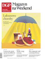 Dziennik Gazeta Prawna 137/2026