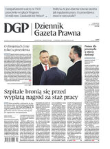 Dziennik Gazeta Prawna 29/2026