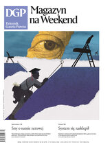 Dziennik Gazeta Prawna 60/2026