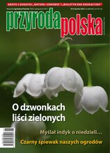 Przyroda Polska 6/2026