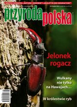 Przyroda Polska 8/2026