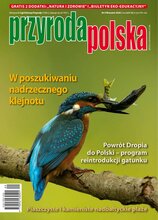Przyroda Polska 9/2026