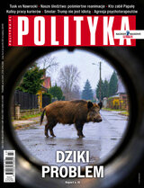 Polityka 43/2026