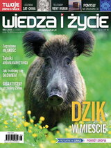 Wiedza i Życie 5/2026