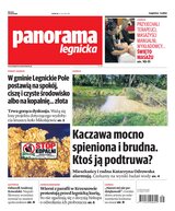 Panorama Legnicka 38/2026