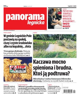 Panorama Legnicka 38/2026