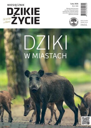 Dzikie Życie 2/2026