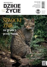 Dzikie Życie 4/2026