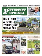 Strzelec Opolski 28/2026