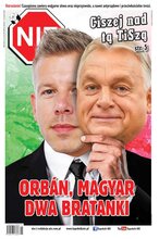 NIE 16/2026