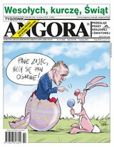 Angora 14/2026