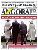 Angora 19/2026