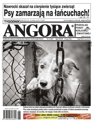 Angora 6/2026